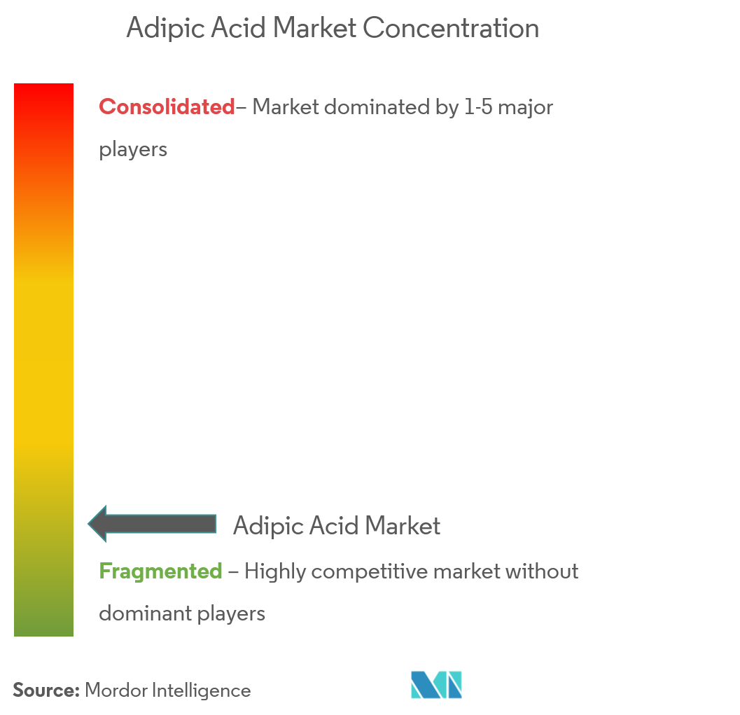 Adipic Acid Market Concentration